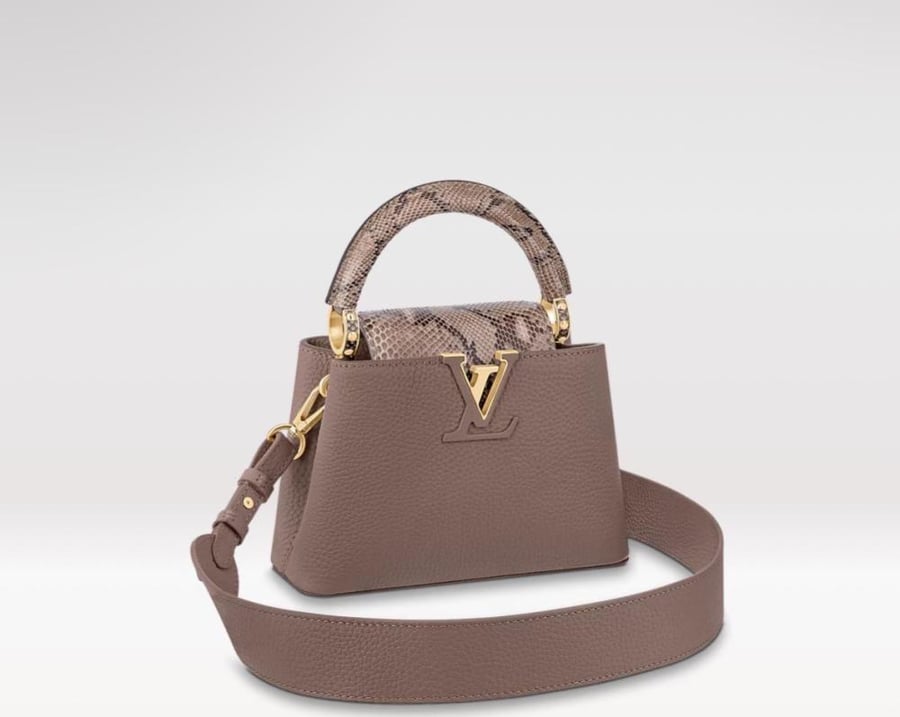 لويس فيتون مقاس 21
