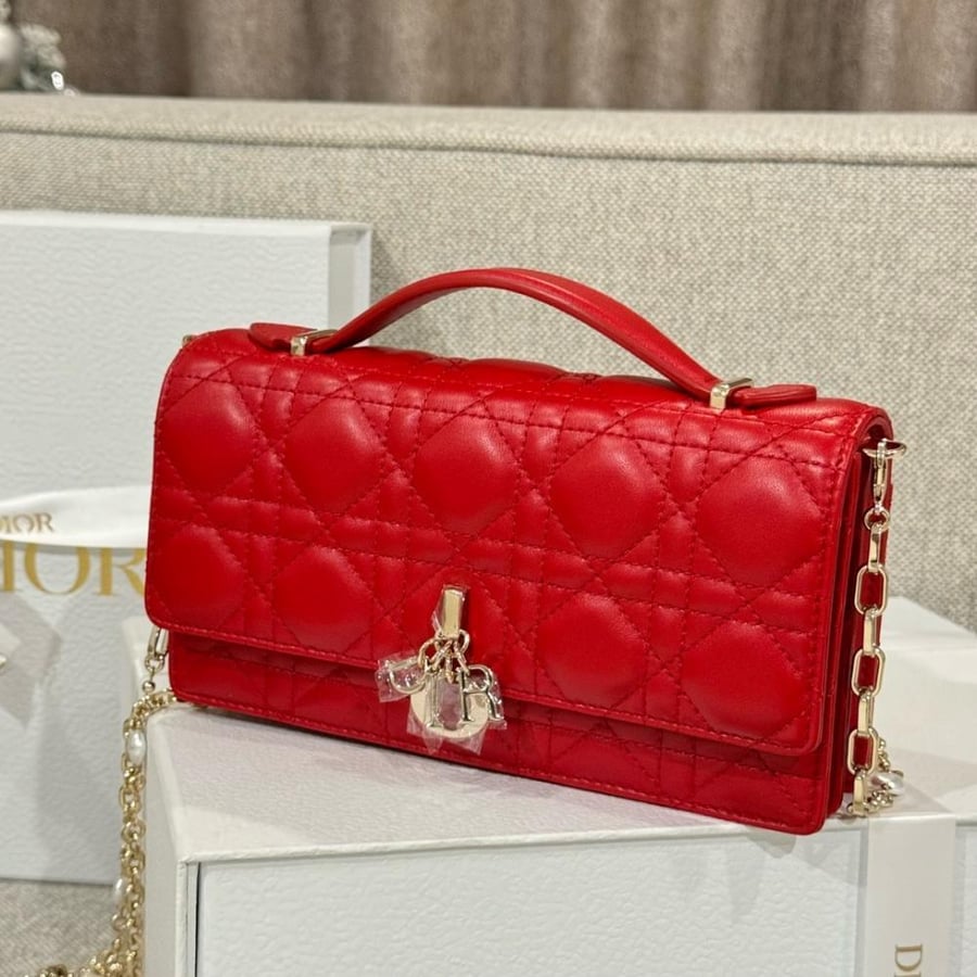 My dior mini
