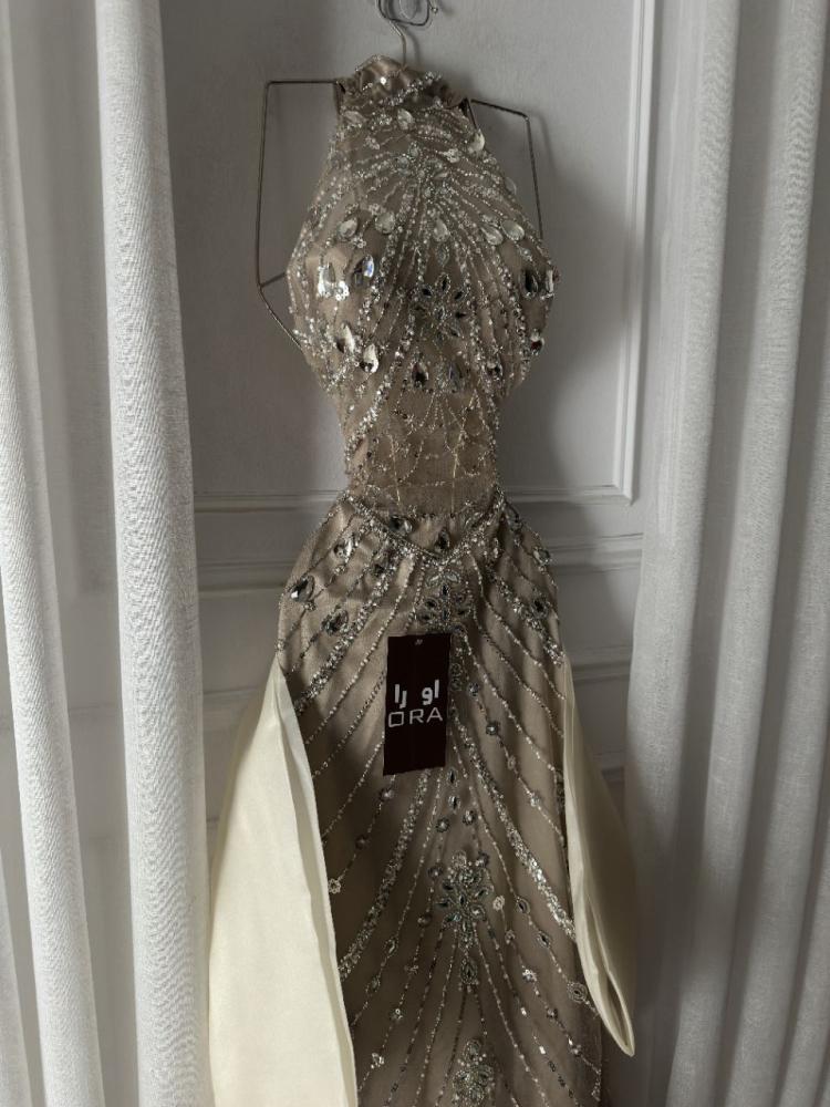 A beige dress adorned with genuine crystals, a frill, and a shimmering butcher's train.