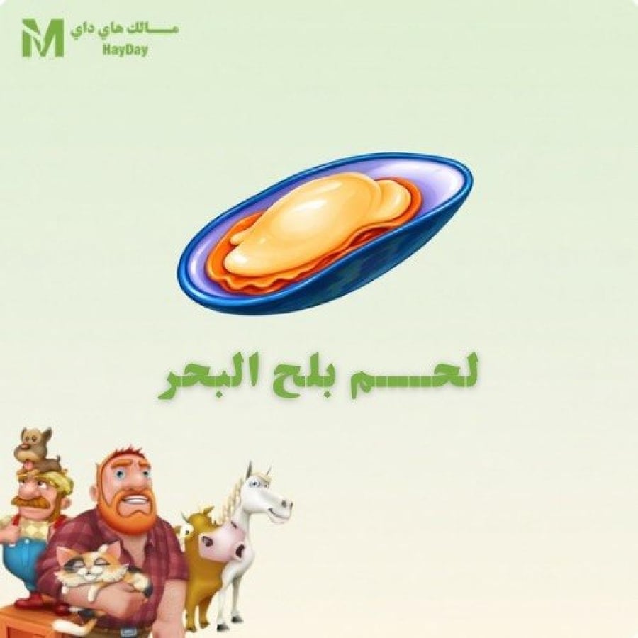 لحم بلح البحر