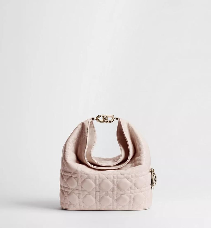 dior toujours hobo bag