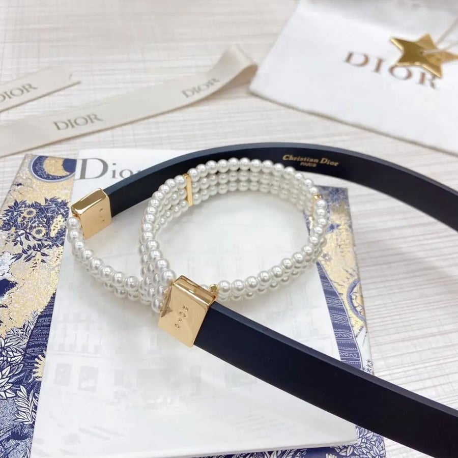 dior belt