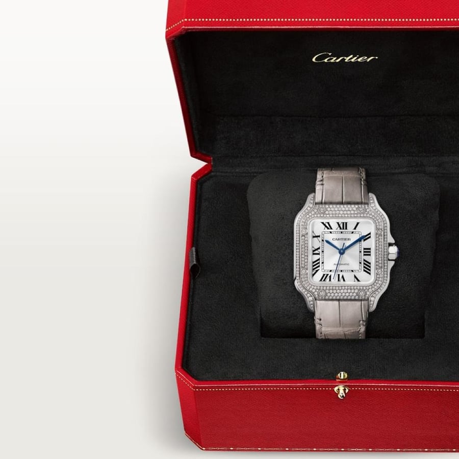 cartier santos watch