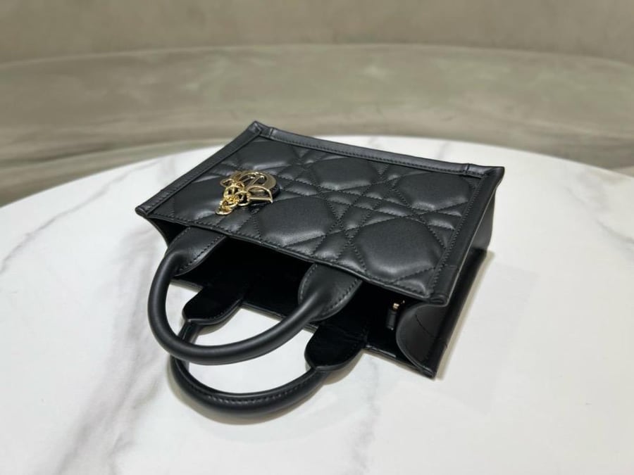 DIOR BAG