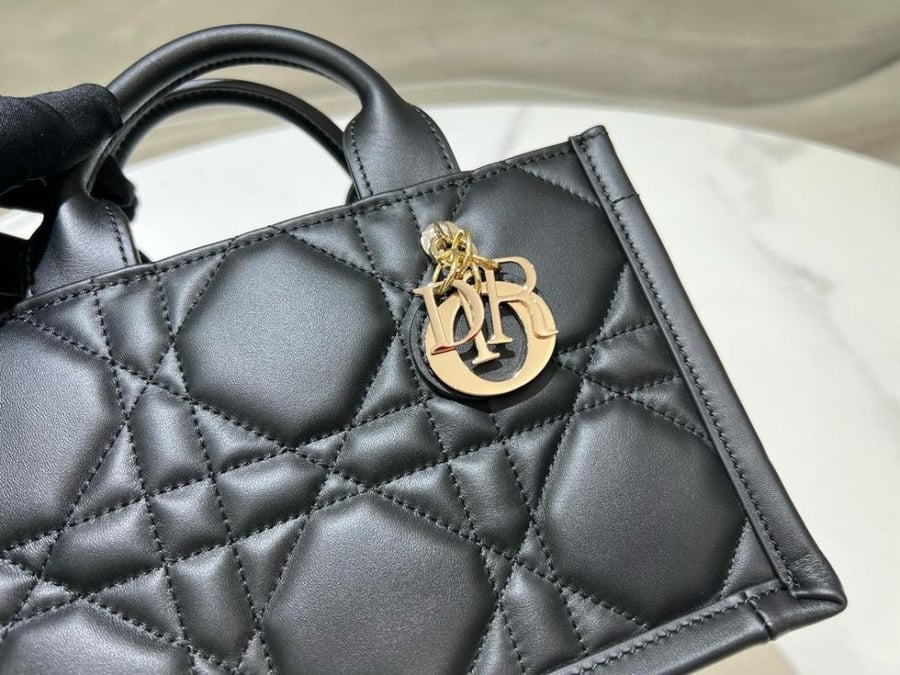 DIOR BAG