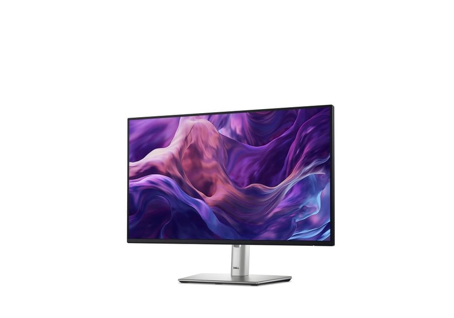 Dell-Monitor-24-inch-ips-FHD-100Hz-P2425H-Shadady