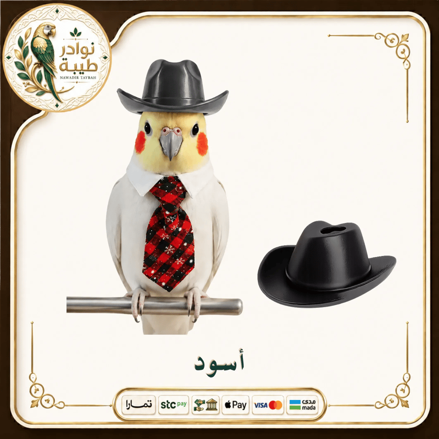 قبعة (كاب) أنيقة للطيور والببغاوات - متوفرة بألوان متعددة