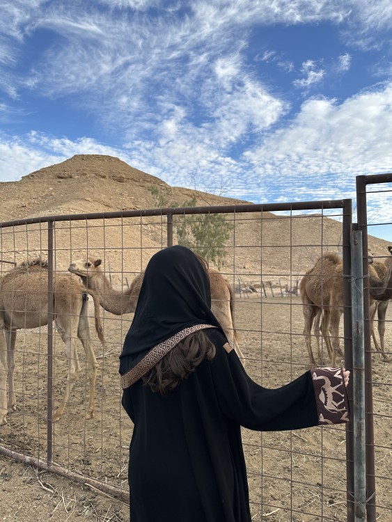 زي يوم التأسيس