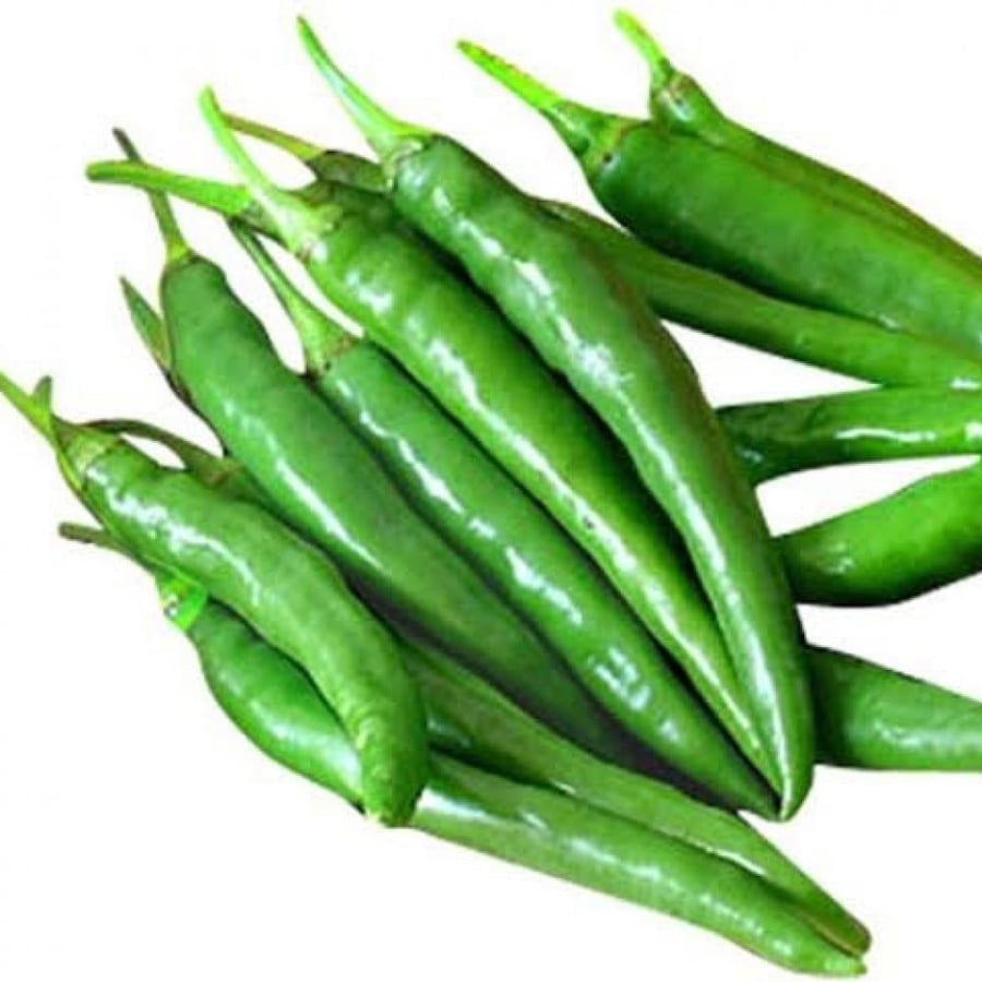 Green hot Indian pepper seeds (Capsicum annuum)