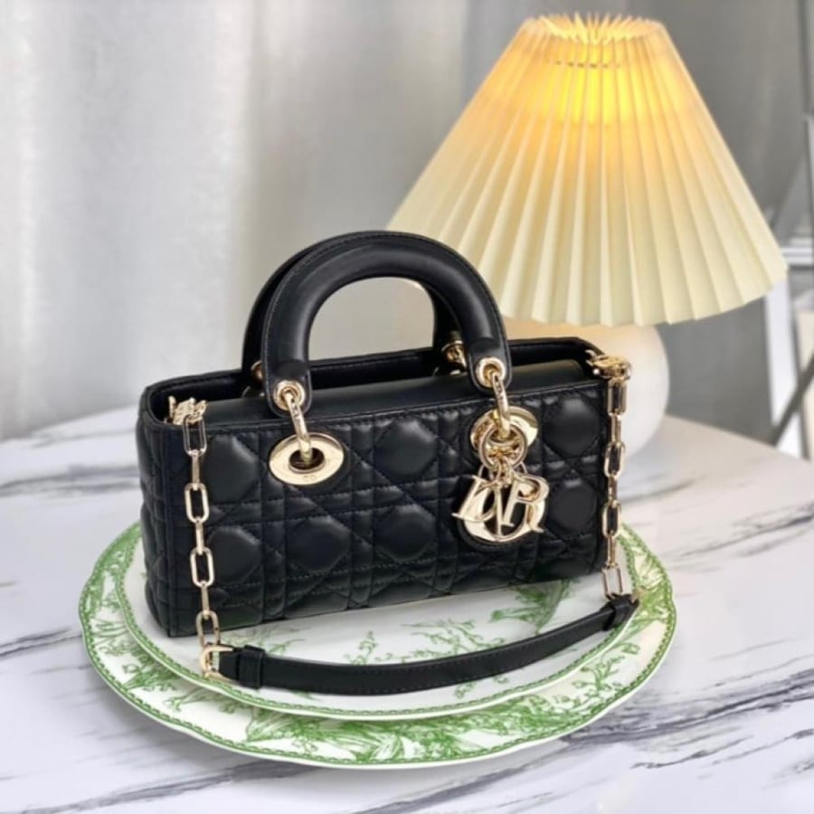 Lady dior joy 22 cm