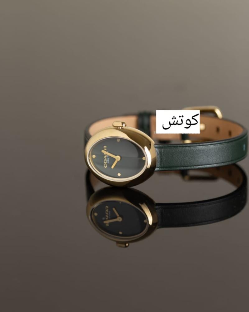 ساعة نسائية هي ساعة كوتش سامي (Coach Sammy) بتصميم بيضاوي جلد   السعر فقط    مكينة بطارية