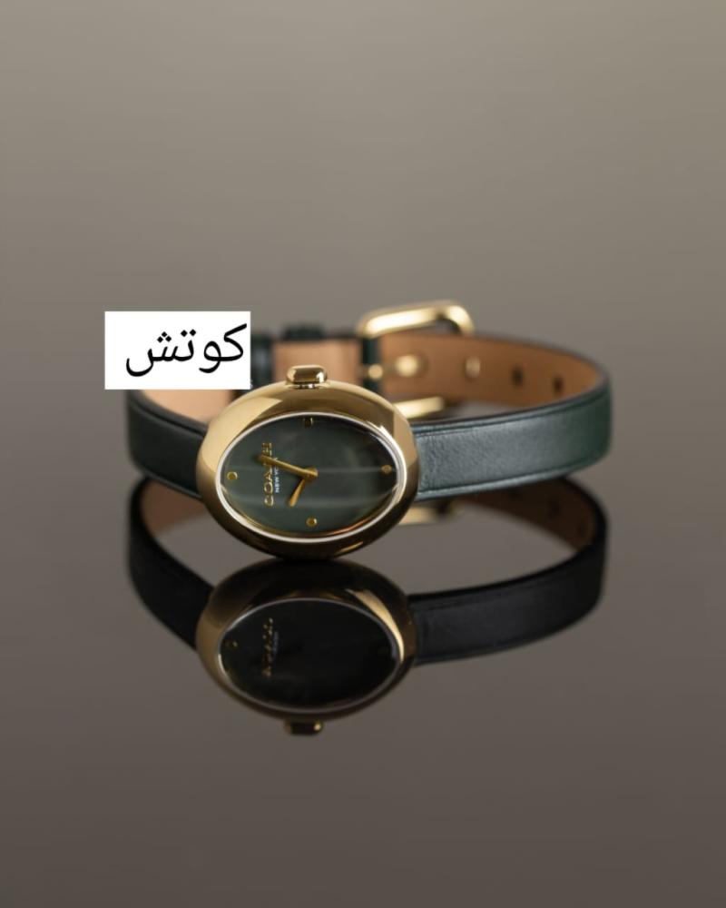 ساعة نسائية هي ساعة كوتش سامي (Coach Sammy) بتصميم بيضاوي جلد   السعر فقط    مكينة بطارية