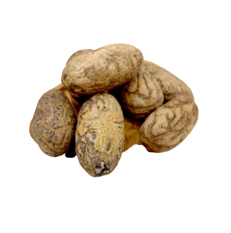 عود صليب مغربي-عطارة دكان العطار-عطارة اونلاين-عود الصليب المغربي