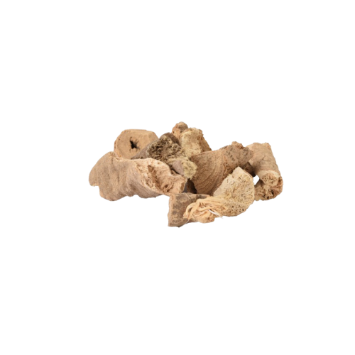 القسط البحري-قسط-عطارة دكان العطار-عطار اونلاين-عطارة فيفا-عطار اعشاب