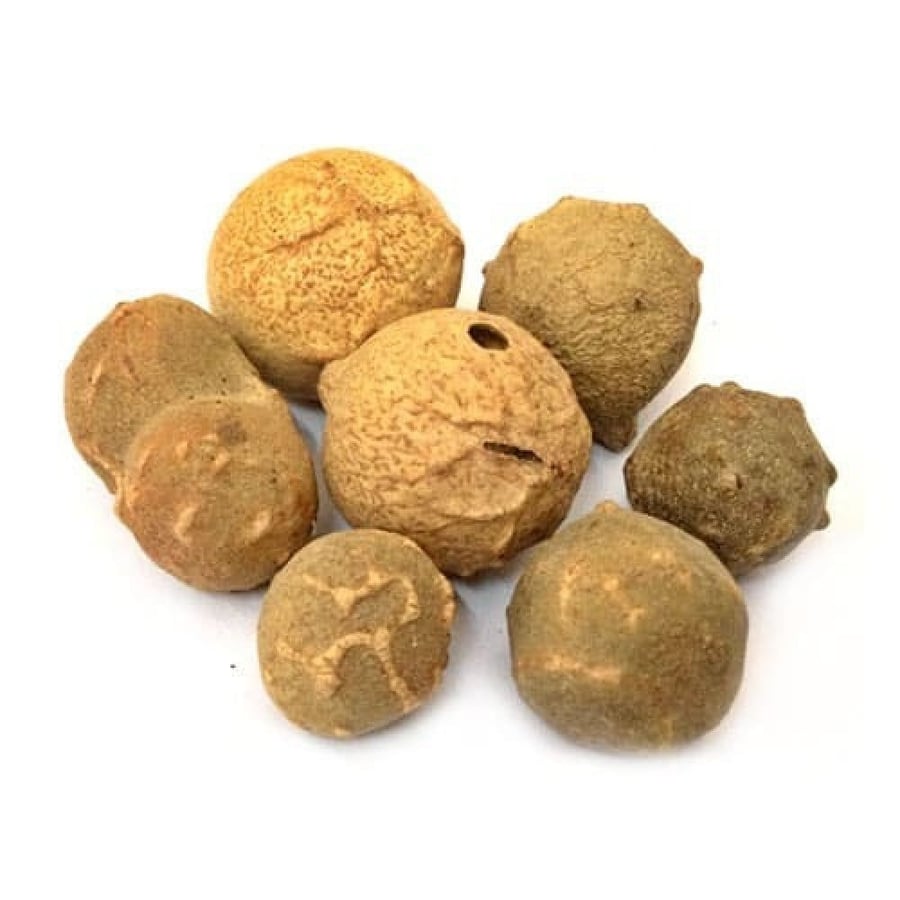 العفص