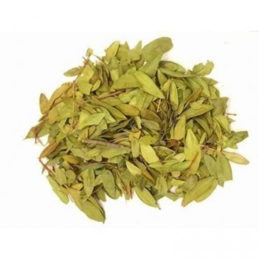 ورق اس-اوراق الاس-فوائد ورق الاس-عشبة ورق الاس-عطارة فيفا-عطارة اونلاي