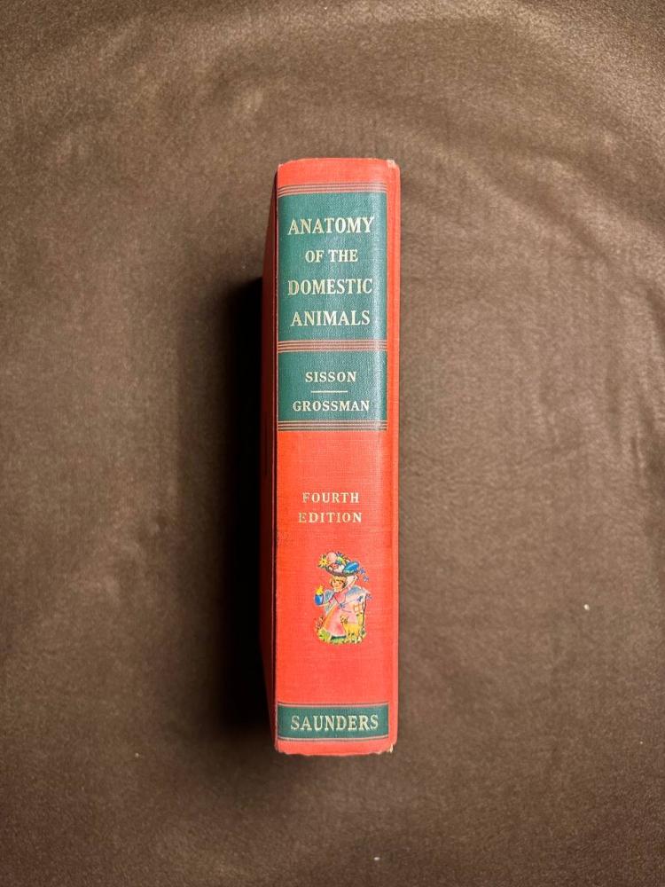 كتاب قديم تشريح