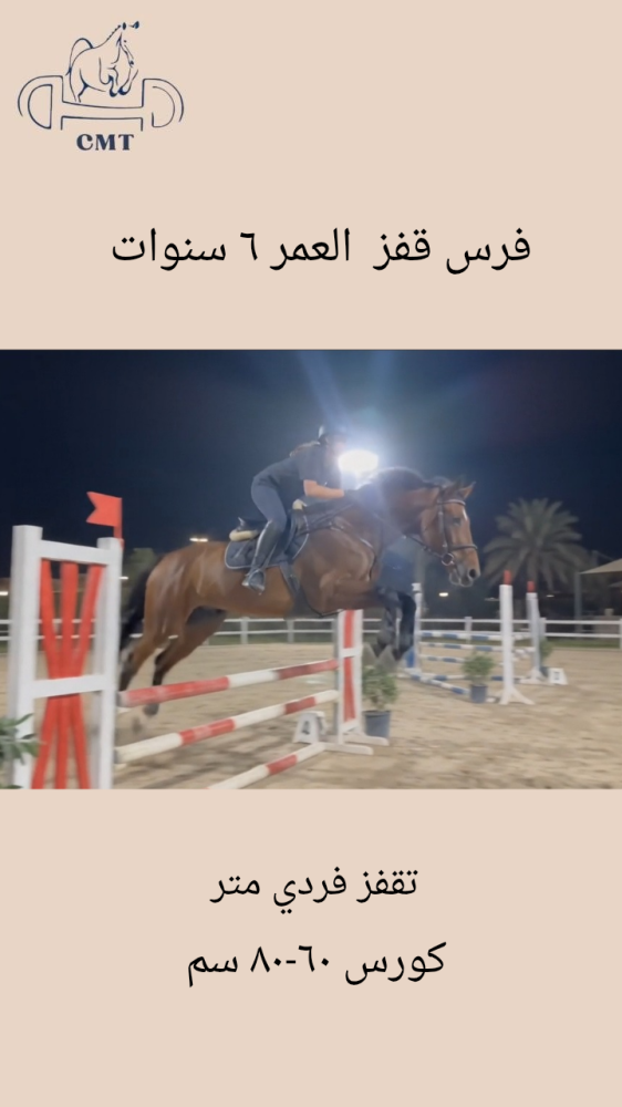 فرس قفز