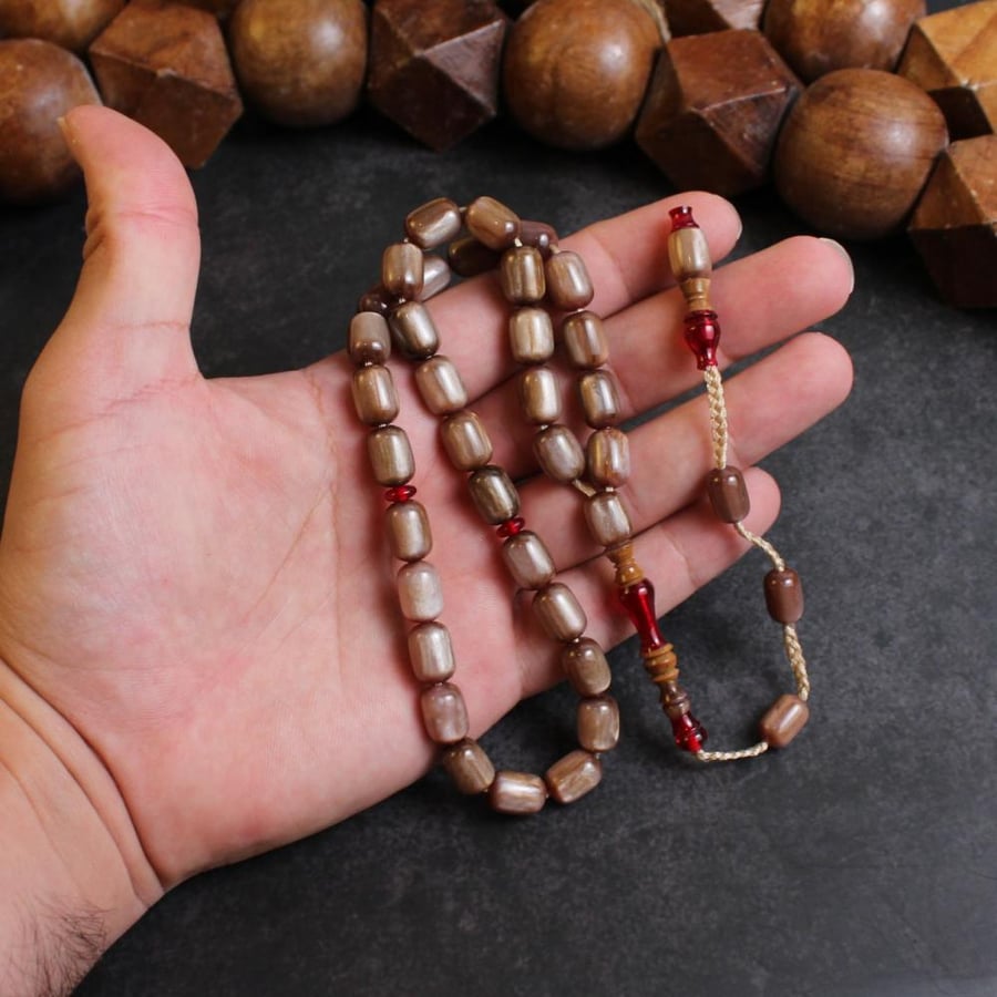 سبحة بكلايت بني فاتح شاهد مطعم كوك زاوية أخرى