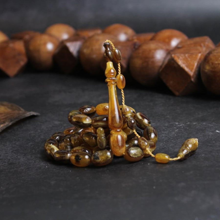 قطعة فريدة ظهر سلحفاة برية