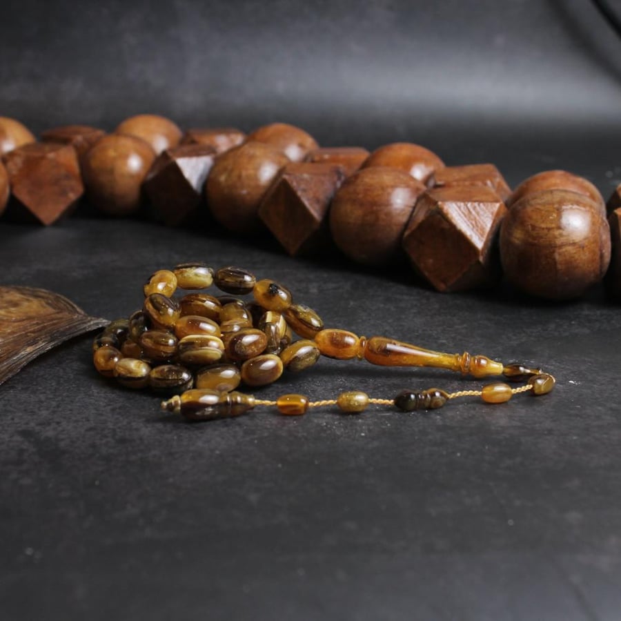 قطعة فريدة ظهر سلحفاة برية