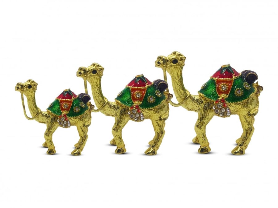 طقم مجسم جمل 3