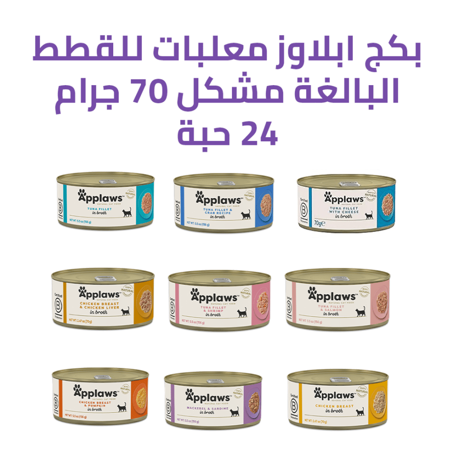 بكج طعام رطب من ابلاوز بنكهات مشكل 70 جرام 24 حبة