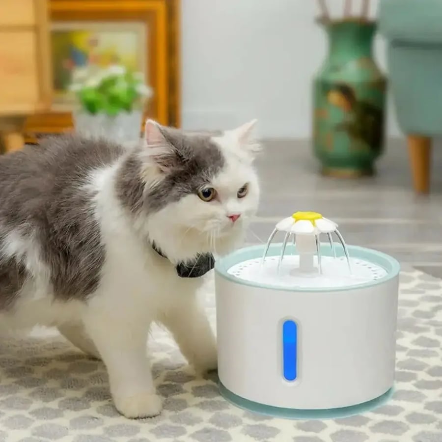نافورة كهربائية مع فلتر لترشيح المياه Pet water Fountain