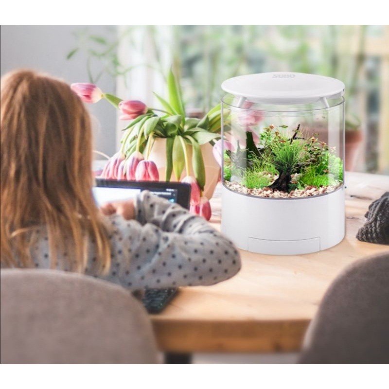 حوض سمك مكتبي دائري شفاف  SOBO Mini Aquarium Q-2