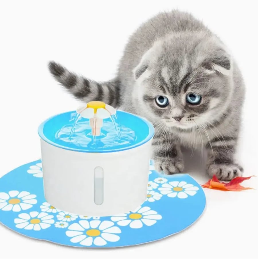 نافورة كهربائية مع فلتر لترشيح المياه Pet water Fountain