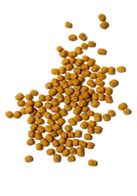 غذاء يومي للببغاوات المتوسطة والكبيرة 3KG