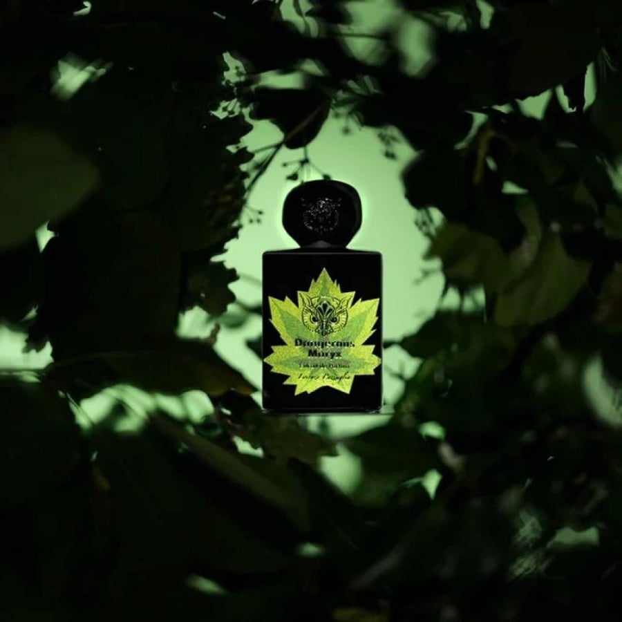 عطر دينجرس ماريكس 50 مل إكستريت للجنسين