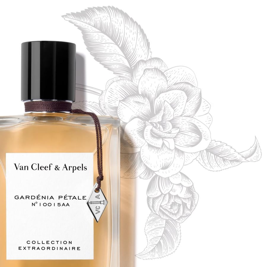 عطر فان كليف آند أربلز غاردينيا بيتال أو دو بارفيوم 75مل (نسائي)