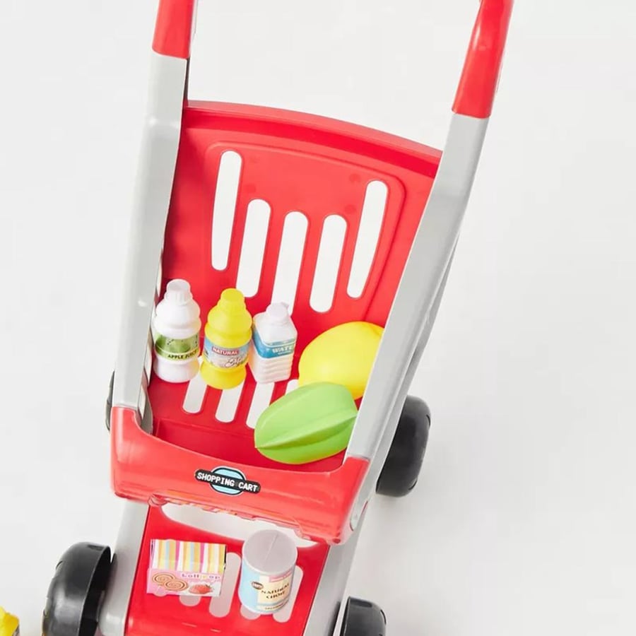 Large shopping cart