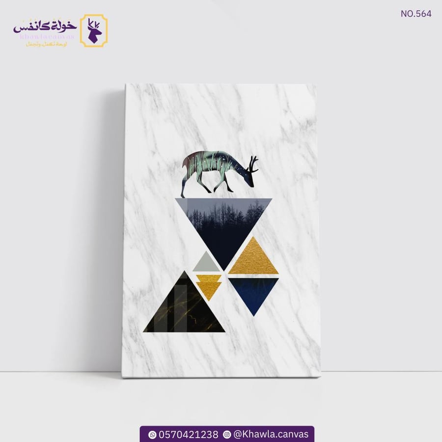 مودرن 564