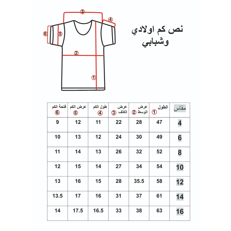 Box (6) pieces T-shirt half sleeve white ring for boys BOX-CL-18BBO