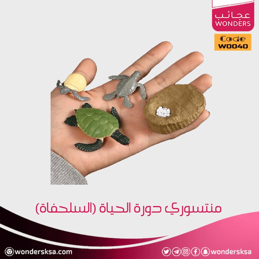 منتسوري دورة الحياة ومراحل النمو للحيوان للأطفال وحصص العلوم والأحياء