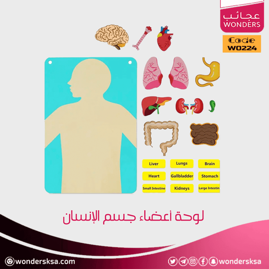 لوحة أعضاء جسم الإنسان