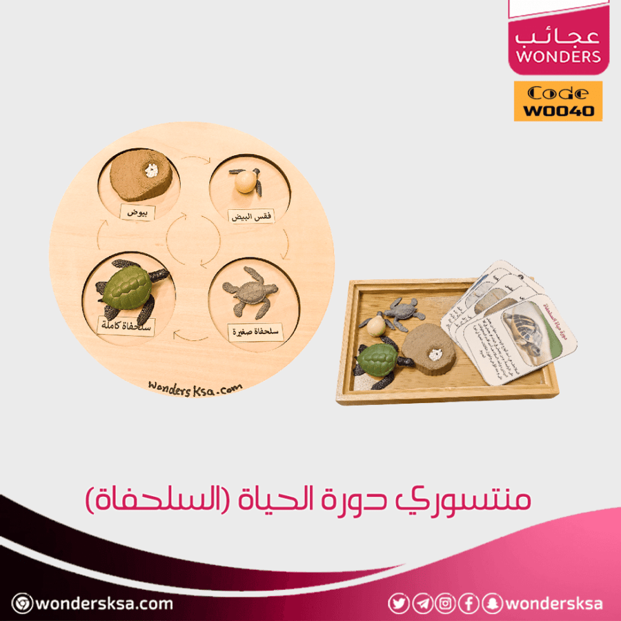 منتسوري دورة الحياة ومراحل النمو للحيوان للأطفال وحصص العلوم والأحياء