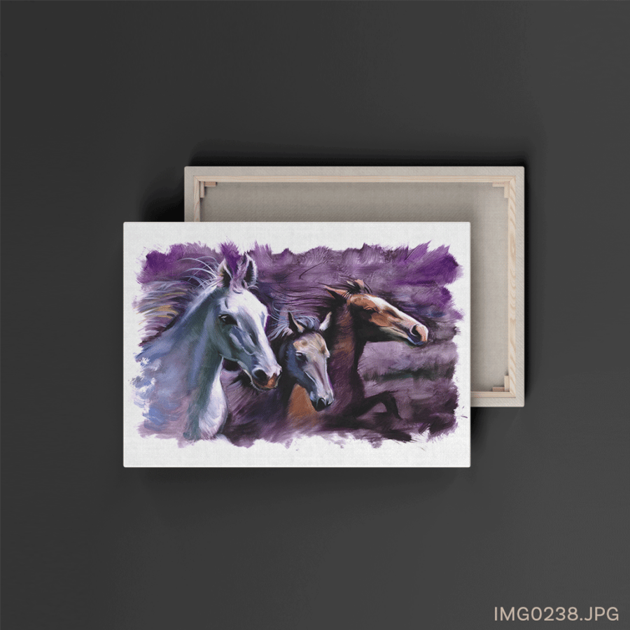 الهمام - (W-IMG0238)
