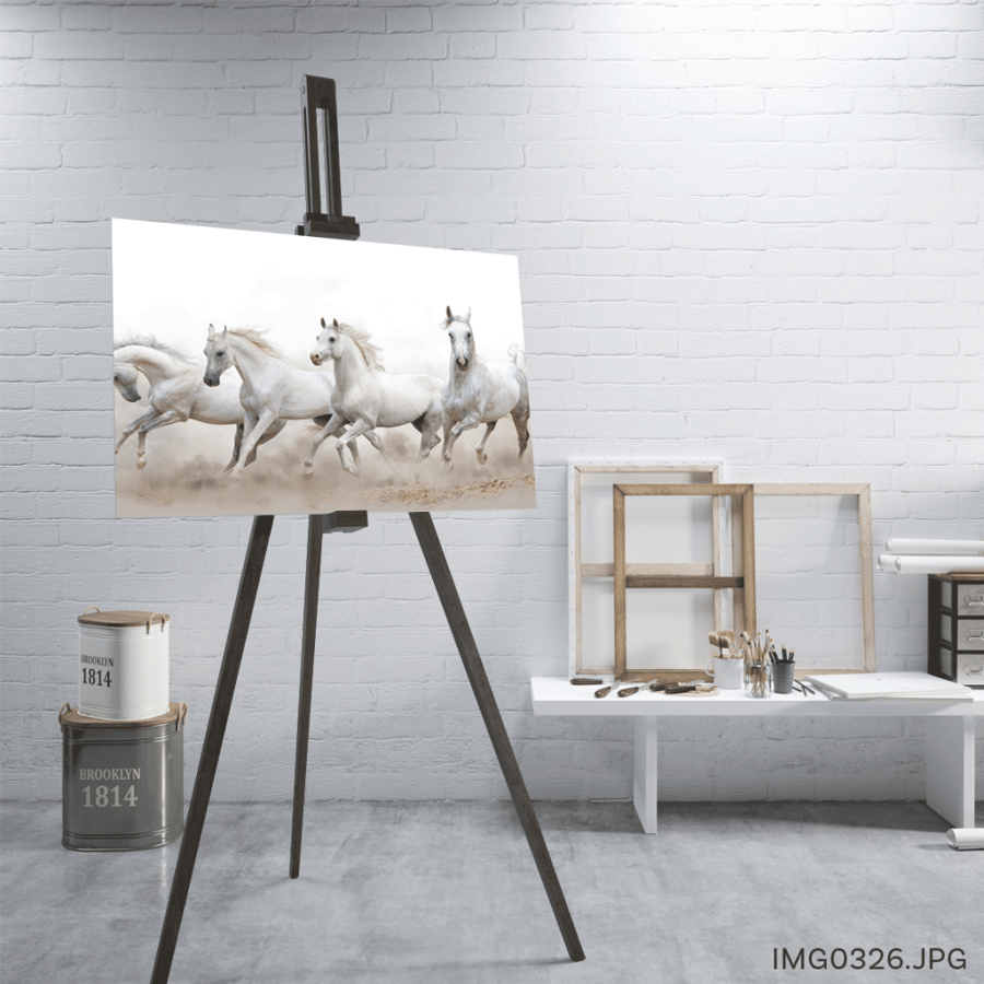 البرق - (W-IMG0326)