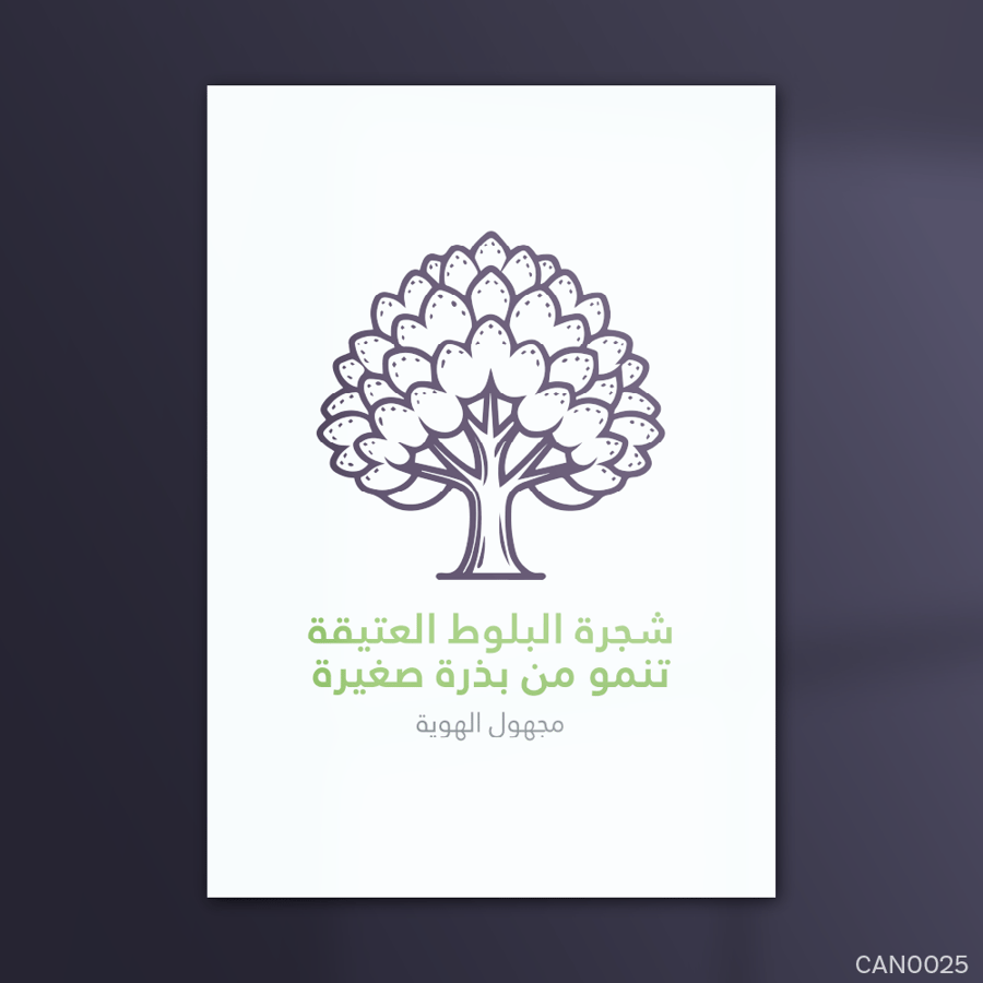 شجرة البلوط العتيقة - CAN0025-T