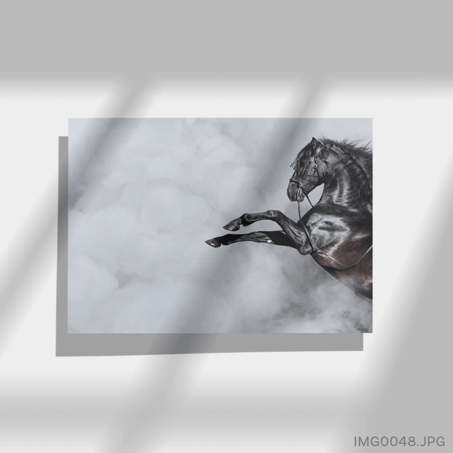 الشهباء - (W-IMG0048)