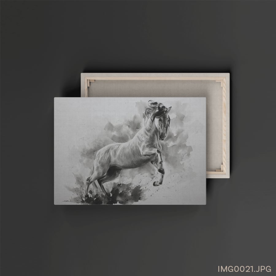 المقدام - (W-IMG0021)