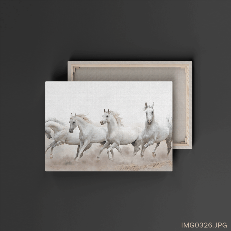البرق - (W-IMG0326)