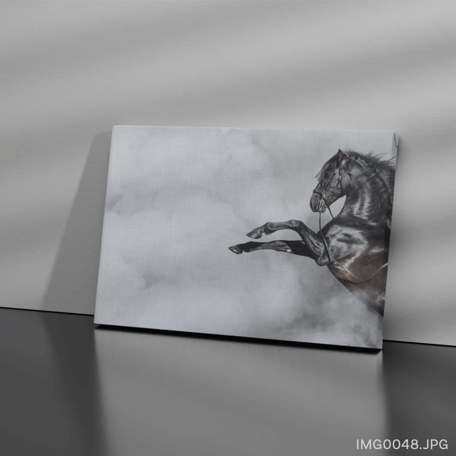 الشهباء - (W-IMG0048)