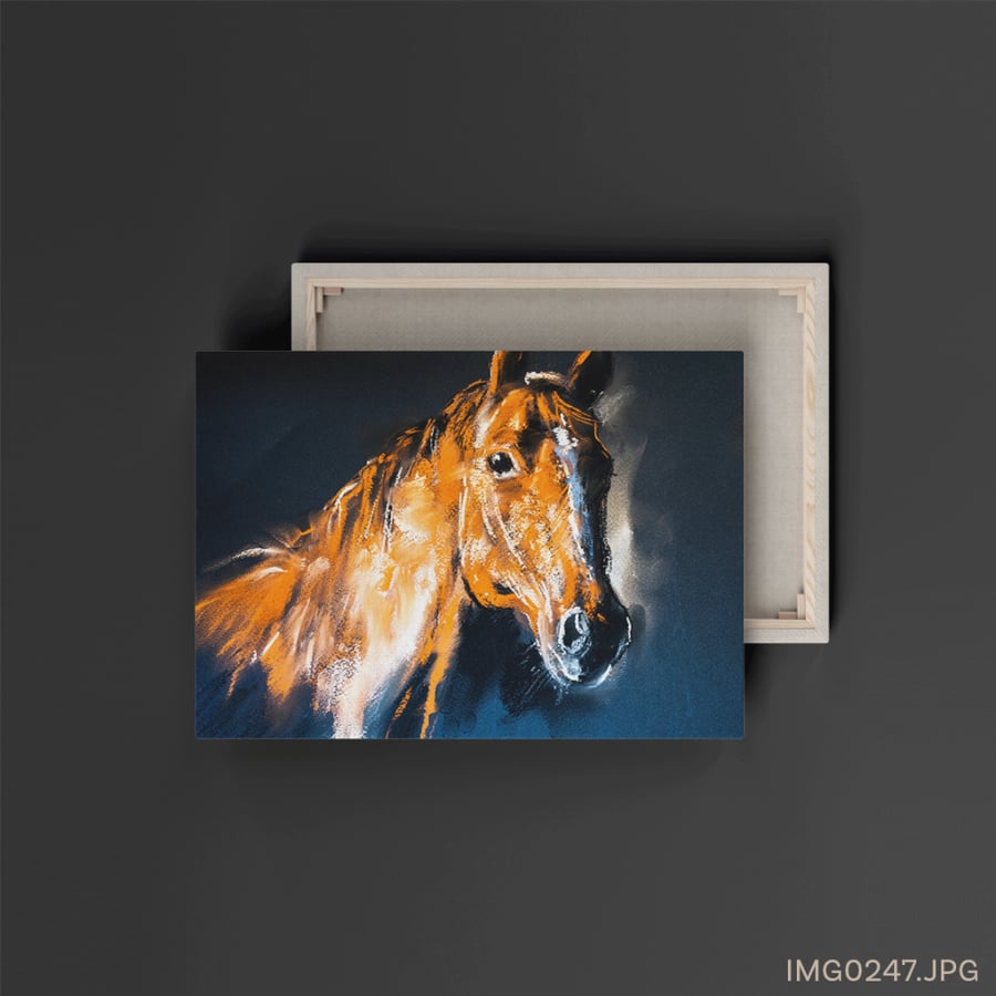 مندوب - (W-IMG0247)