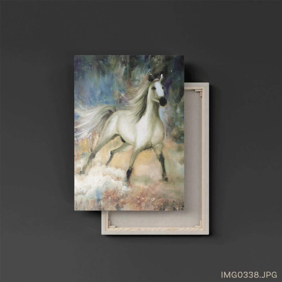 السبل - (T-IMG0338)