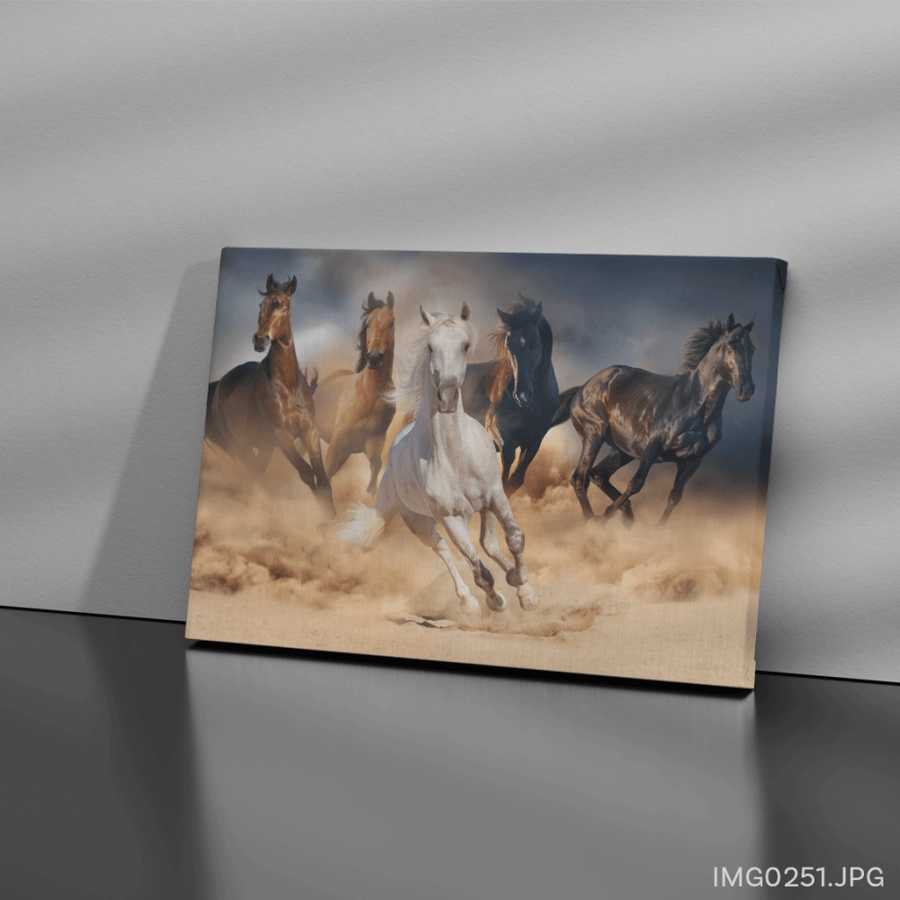 المرتجز - (W-IMG0251)