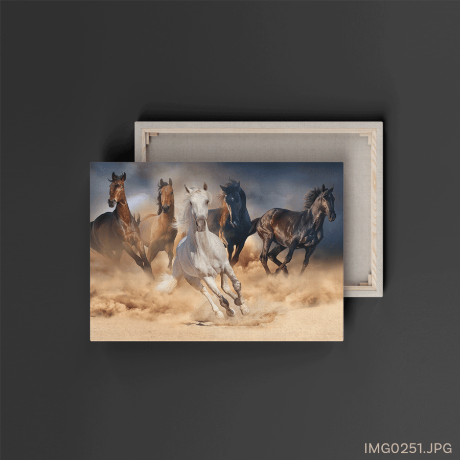 المرتجز - (W-IMG0251)
